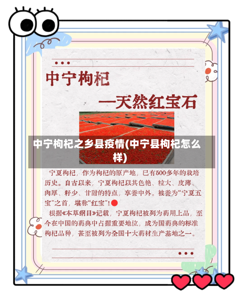 中宁枸杞之乡县疫情(中宁县枸杞怎么样)