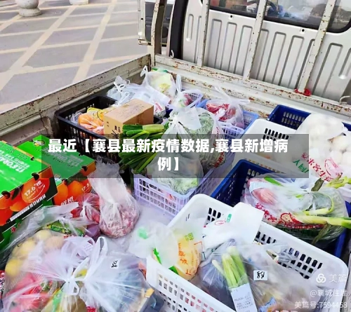 最近【襄县最新疫情数据,襄县新增病例】