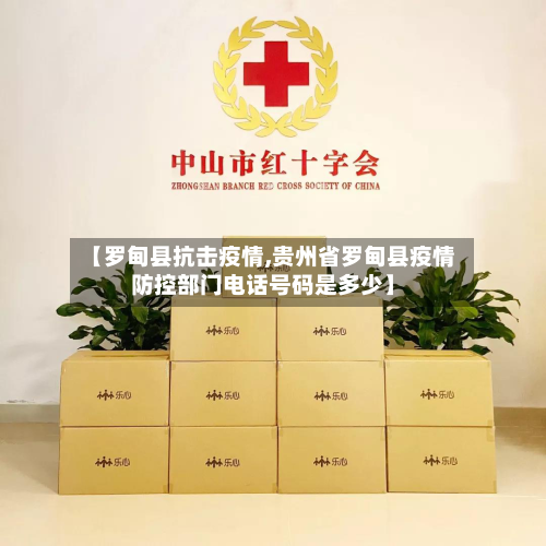 【罗甸县抗击疫情,贵州省罗甸县疫情防控部门电话号码是多少】-第2张图片