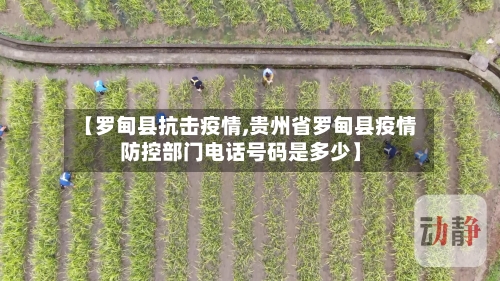 【罗甸县抗击疫情,贵州省罗甸县疫情防控部门电话号码是多少】-第3张图片