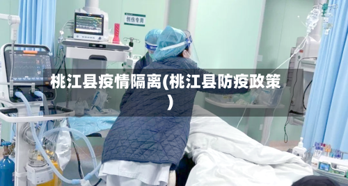 桃江县疫情隔离(桃江县防疫政策)-第2张图片