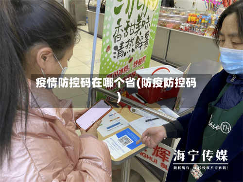 疫情防控码在哪个省(防疫防控码)-第2张图片