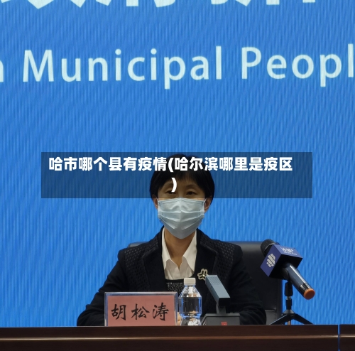 哈市哪个县有疫情(哈尔滨哪里是疫区)-第3张图片