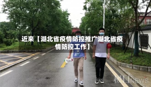 近来【湖北省疫情防控推广湖北省疫情防控工作】-第2张图片