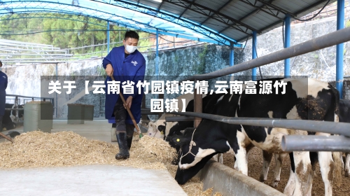 关于【云南省竹园镇疫情,云南富源竹园镇】