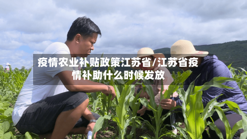疫情农业补贴政策江苏省/江苏省疫情补助什么时候发放