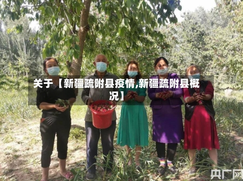 关于【新疆疏附县疫情,新疆疏附县概况】