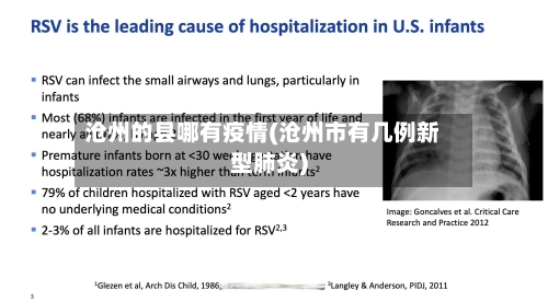 沧州的县哪有疫情(沧州市有几例新型肺炎)-第2张图片