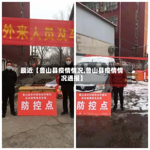最近【鲁山县疫情情况,鲁山县疫情情况通报】-第3张图片