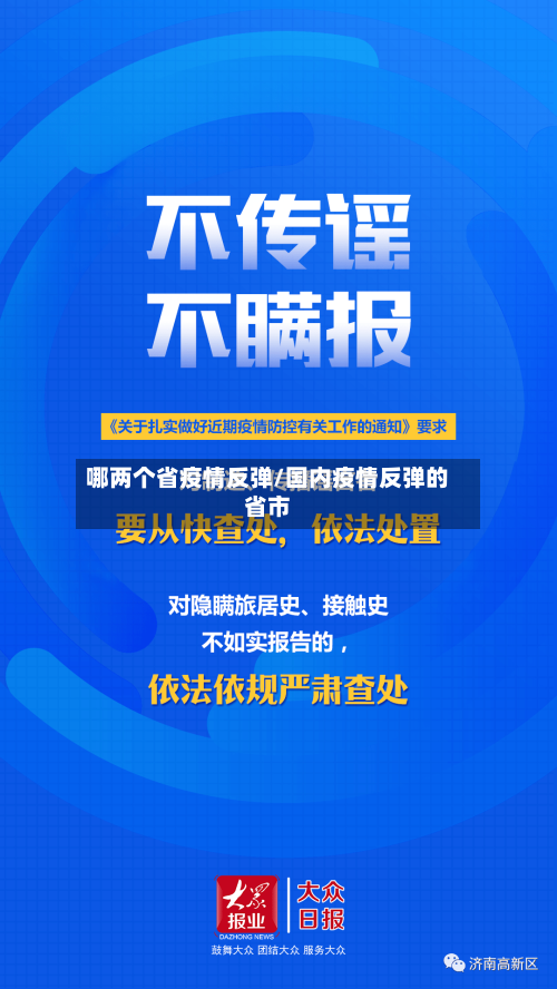 哪两个省疫情反弹/国内疫情反弹的省市