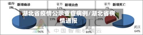 湖北省疫情公示重症病例/湖北省病情通报-第2张图片