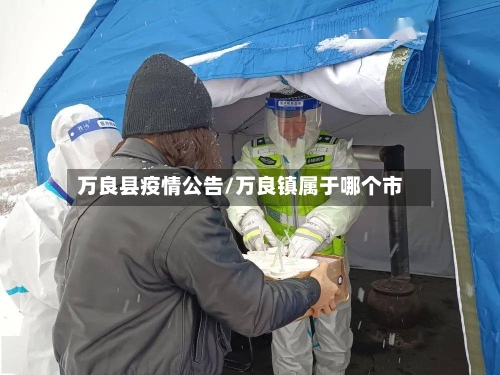 万良县疫情公告/万良镇属于哪个市-第2张图片