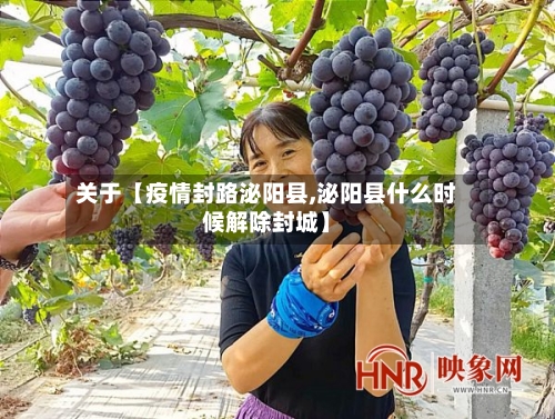 关于【疫情封路泌阳县,泌阳县什么时候解除封城】-第2张图片