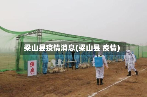 梁山县疫情消息(梁山县 疫情)