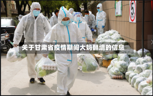 关于甘肃省疫情期间大妈翻墙的信息