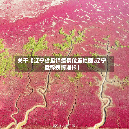 关于【辽宁省盘锦疫情位置地图,辽宁盘锦疫情通报】-第2张图片