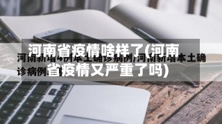 河南省疫情啥样了(河南省疫情又严重了吗)-第2张图片