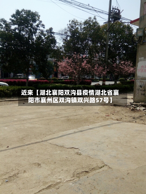 近来【湖北襄阳双沟县疫情湖北省襄阳市襄州区双沟镇双兴路57号】-第2张图片