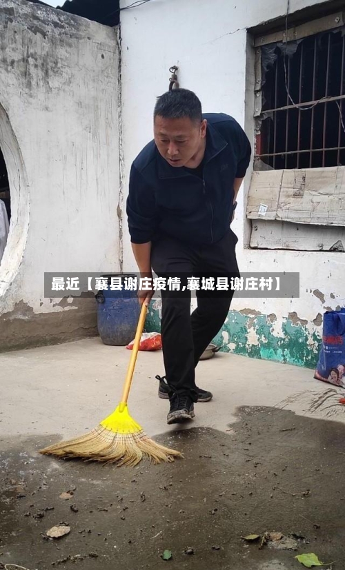 最近【襄县谢庄疫情,襄城县谢庄村】-第2张图片
