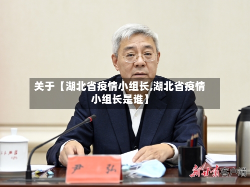 关于【湖北省疫情小组长,湖北省疫情小组长是谁】-第3张图片