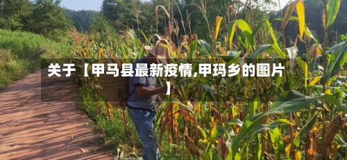 关于【甲马县最新疫情,甲玛乡的图片】