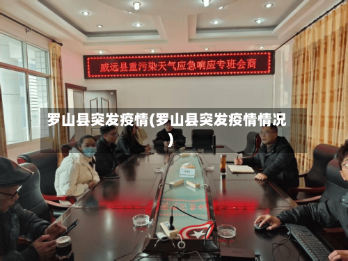 罗山县突发疫情(罗山县突发疫情情况)