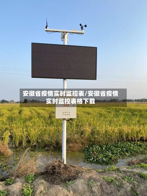 安徽省疫情实时监控表/安徽省疫情实时监控表格下载
