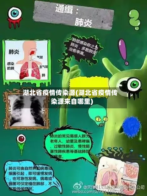 湖北省疫情传染源(湖北省疫情传染源来自哪里)-第3张图片