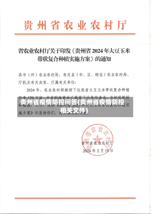 贵州省疫情防控问答(贵州省疫情防控相关文件)-第3张图片