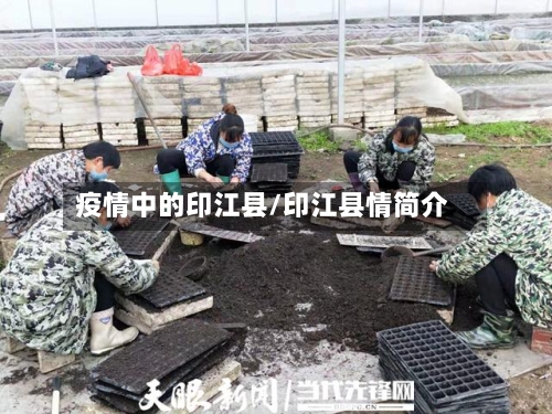 疫情中的印江县/印江县情简介-第3张图片