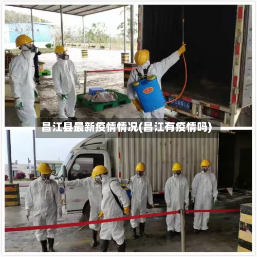 昌江县最新疫情情况(昌江有疫情吗)-第3张图片