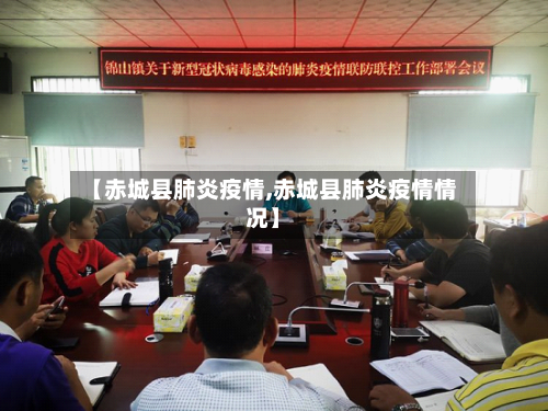 【赤城县肺炎疫情,赤城县肺炎疫情情况】-第2张图片