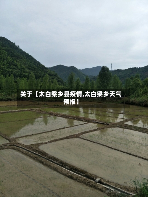 关于【太白梁乡县疫情,太白梁乡天气预报】