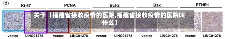 关于【福建省接收疫情的医院,福建省接收疫情的医院叫什么】-第2张图片