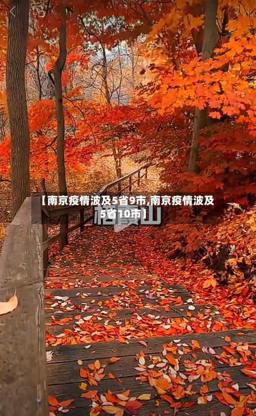 【南京疫情波及5省9市,南京疫情波及5省10市】-第2张图片