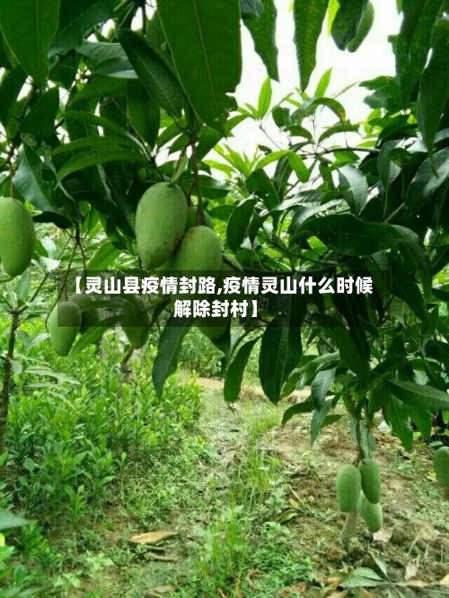 【灵山县疫情封路,疫情灵山什么时候解除封村】-第2张图片
