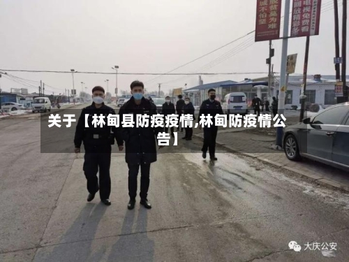 关于【林甸县防疫疫情,林甸防疫情公告】