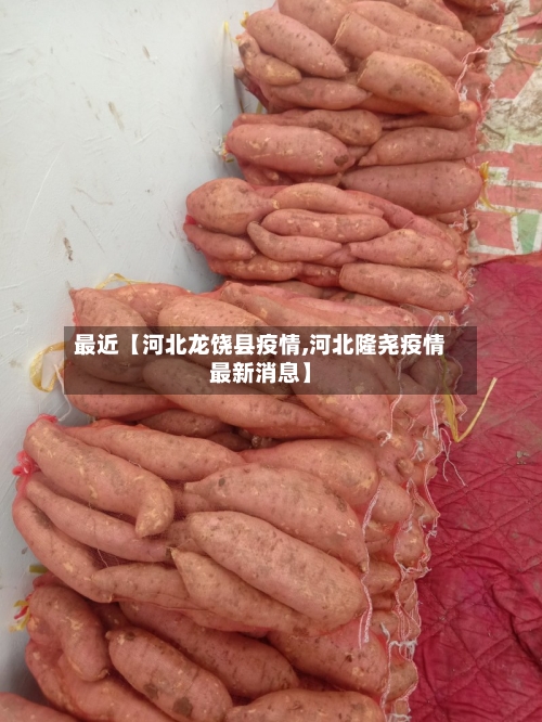 最近【河北龙饶县疫情,河北隆尧疫情最新消息】-第2张图片