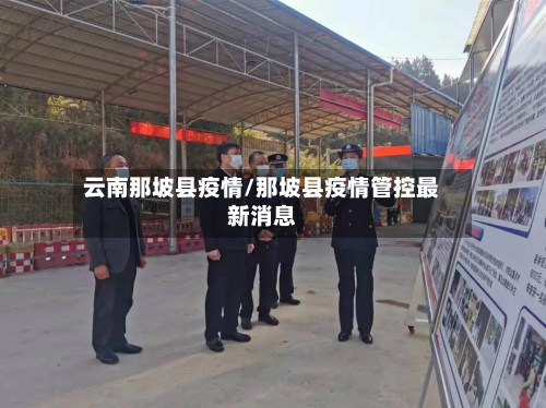 云南那坡县疫情/那坡县疫情管控最新消息-第2张图片