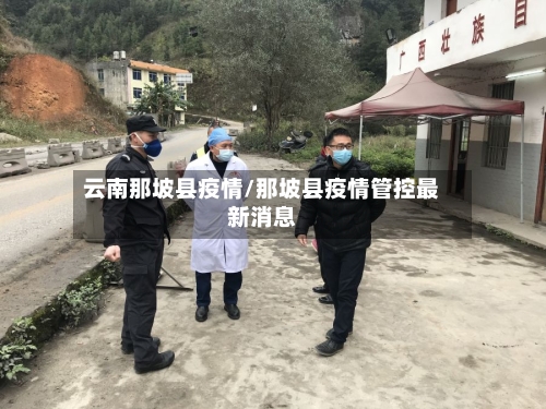 云南那坡县疫情/那坡县疫情管控最新消息