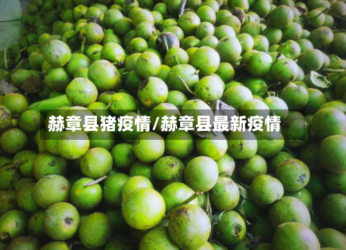 赫章县猪疫情/赫章县最新疫情-第2张图片