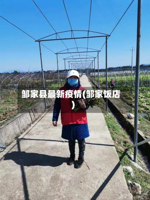 邹家县最新疫情(邹家饭店)-第3张图片