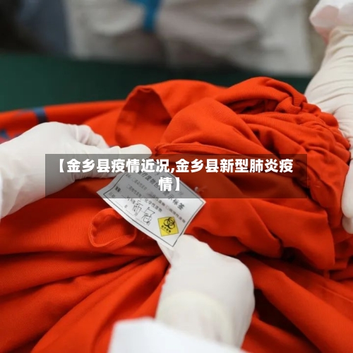 【金乡县疫情近况,金乡县新型肺炎疫情】-第2张图片
