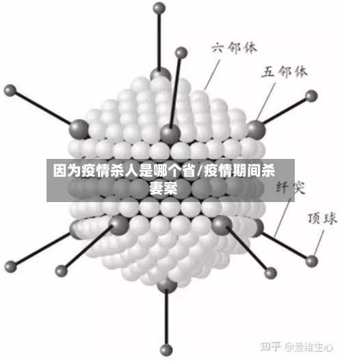 因为疫情杀人是哪个省/疫情期间杀妻案